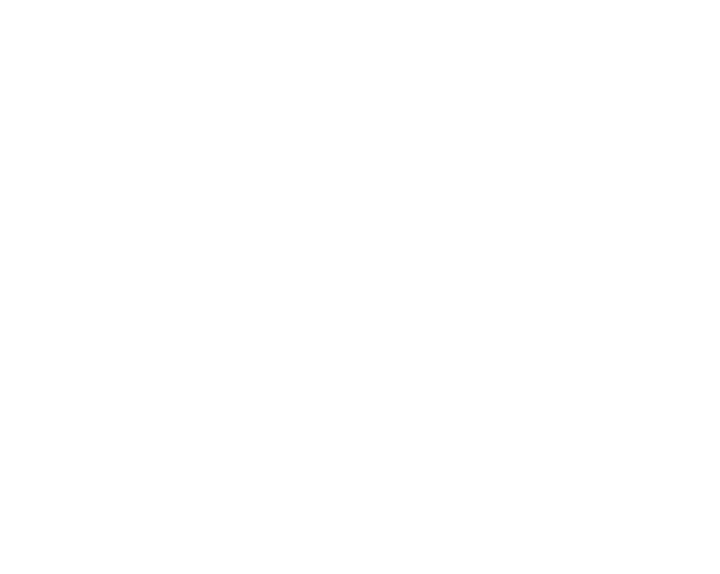 The Drake eatery & craft beer parlour