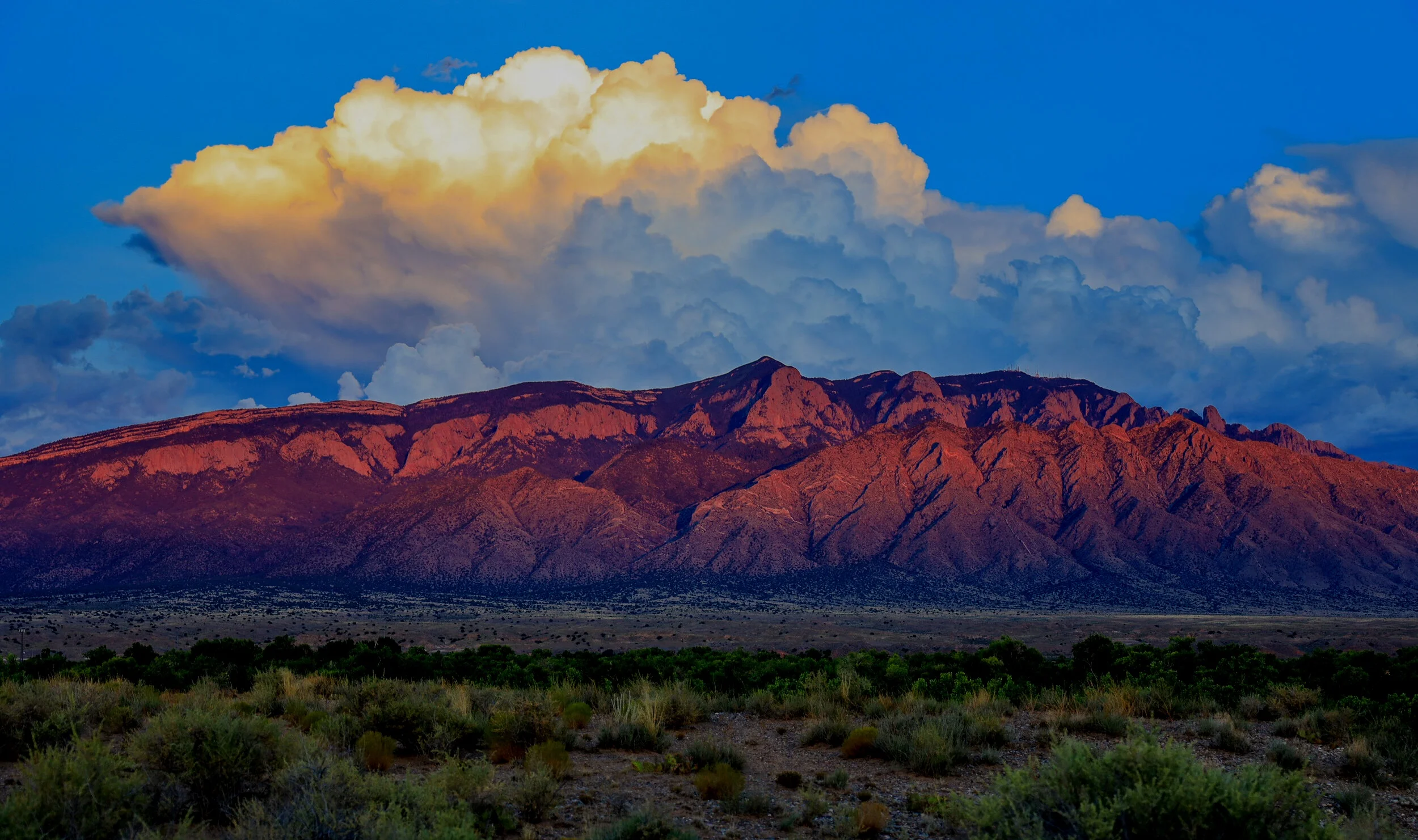 AdobeStock_282493943.jpg