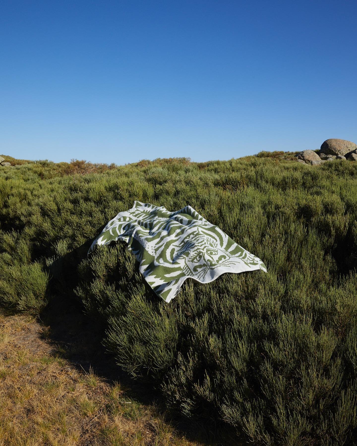 A tiger made of wool 🐯🐑

Learn more at mantascornejo.com
.
📷 @jc_verona 

#blanket #merinowool #merinoblanket #knitted #homeinteriors #blanketlovers #homedecor #keepyouwarm #mantas #madeinspain #slowlife #sustainableandethical #sustainabledesign #