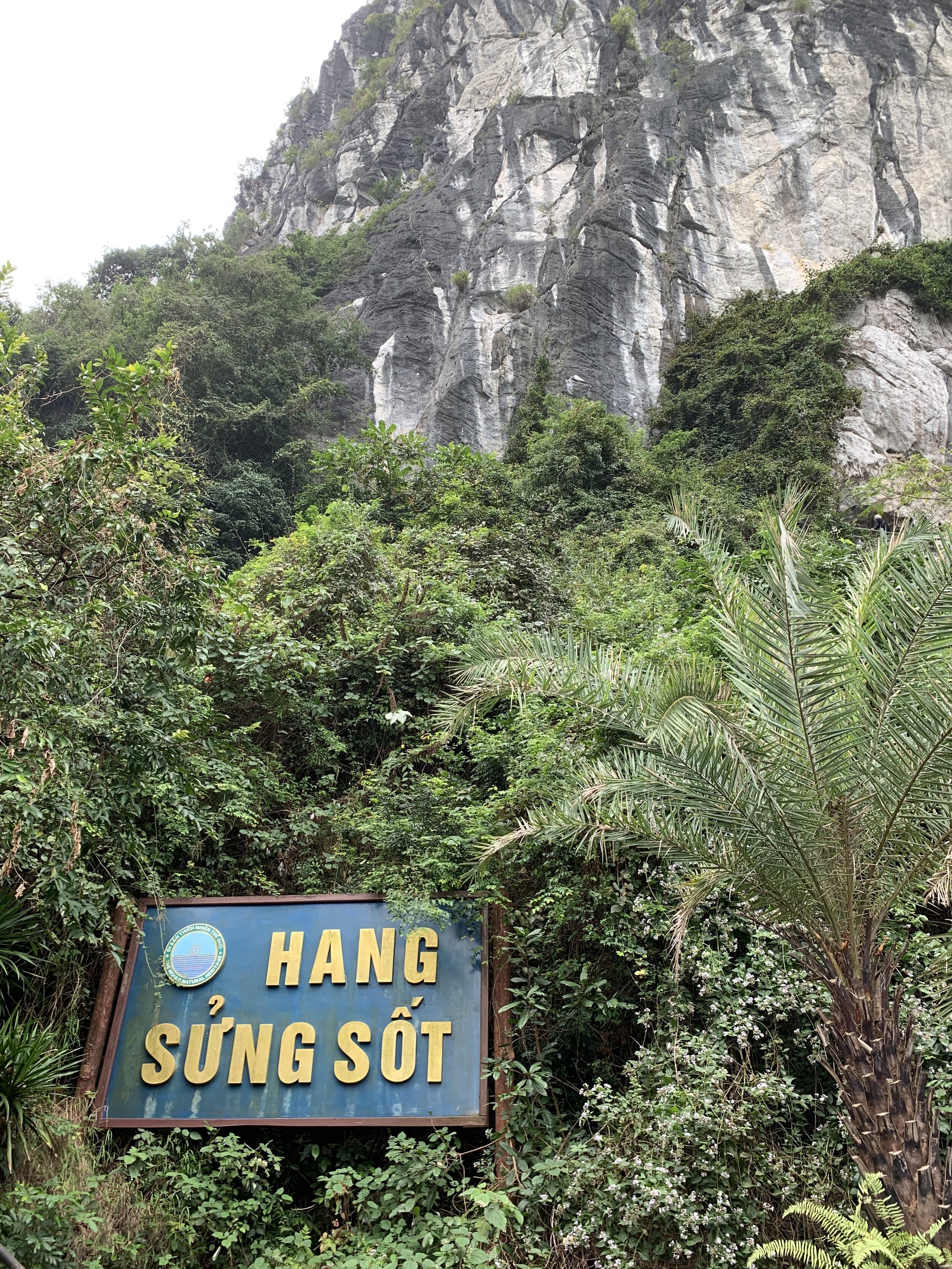  The Cave of Wonders 