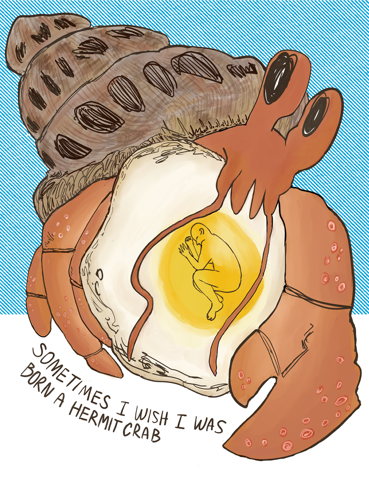 Sometimes I wish I was Born A Hermit Crab 