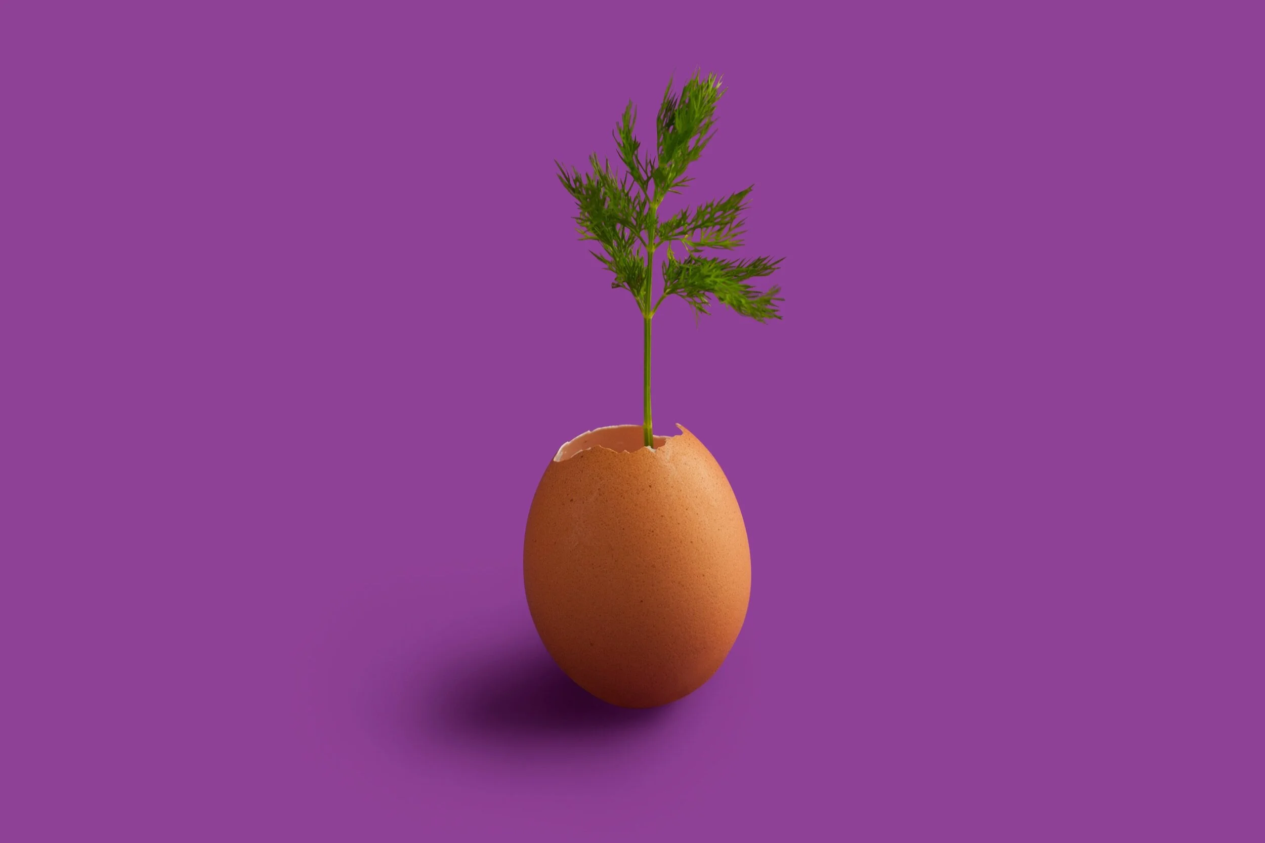 Variety from Vermont and the Valley of Weird