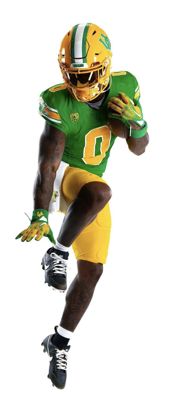 Ducks3.png