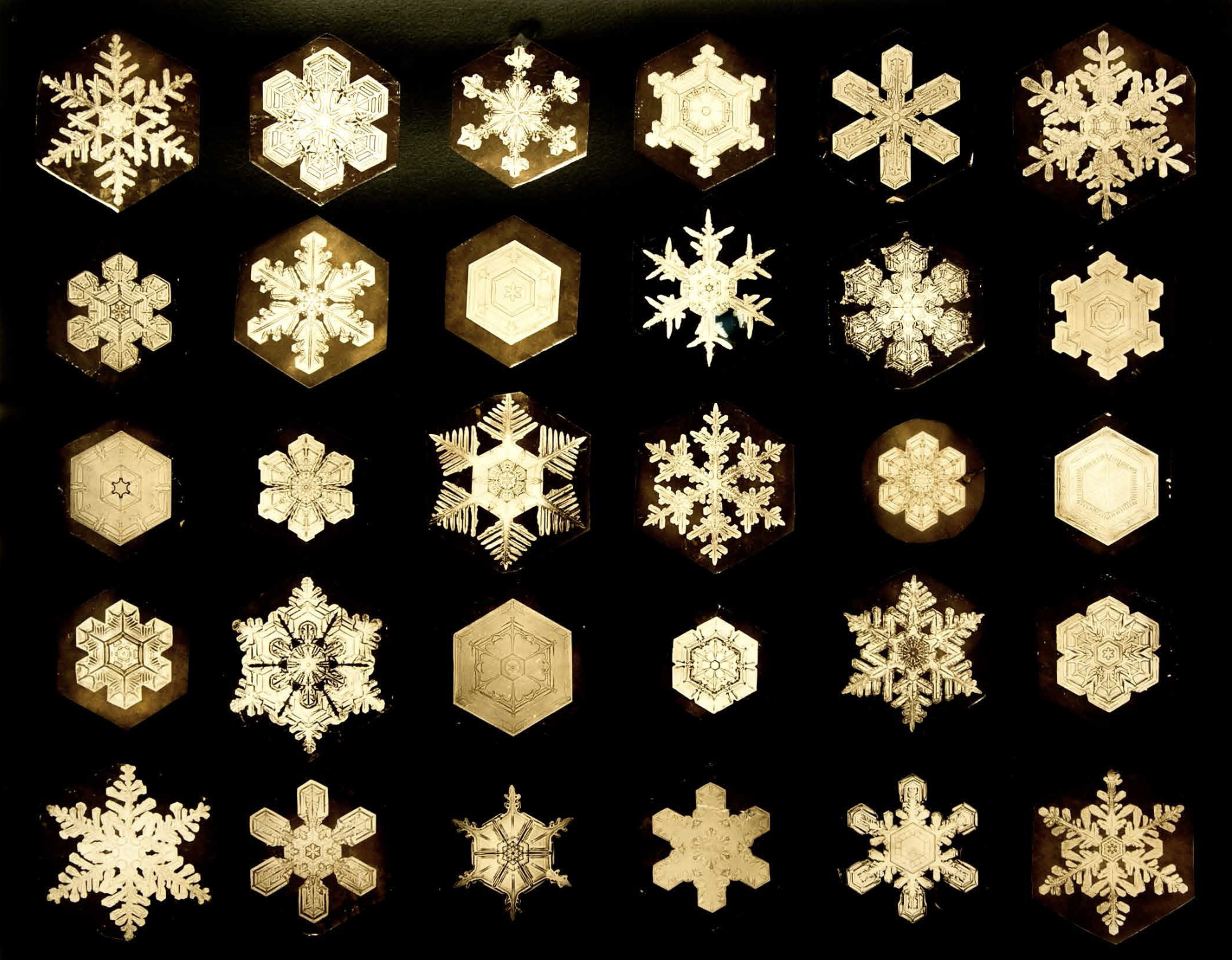 Snowflake Design
