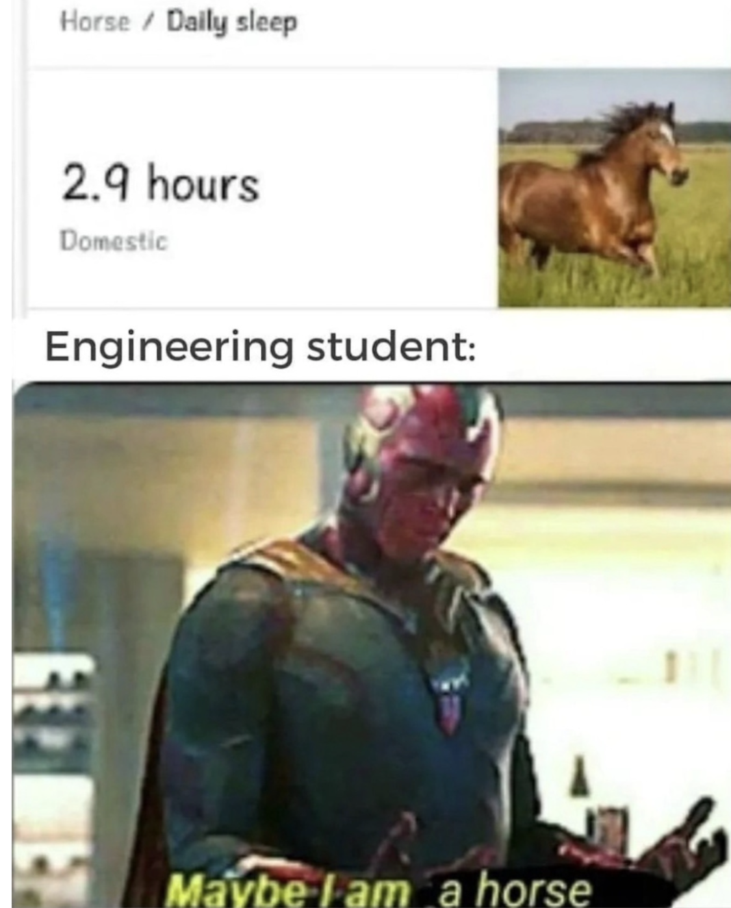 memes1.3.png