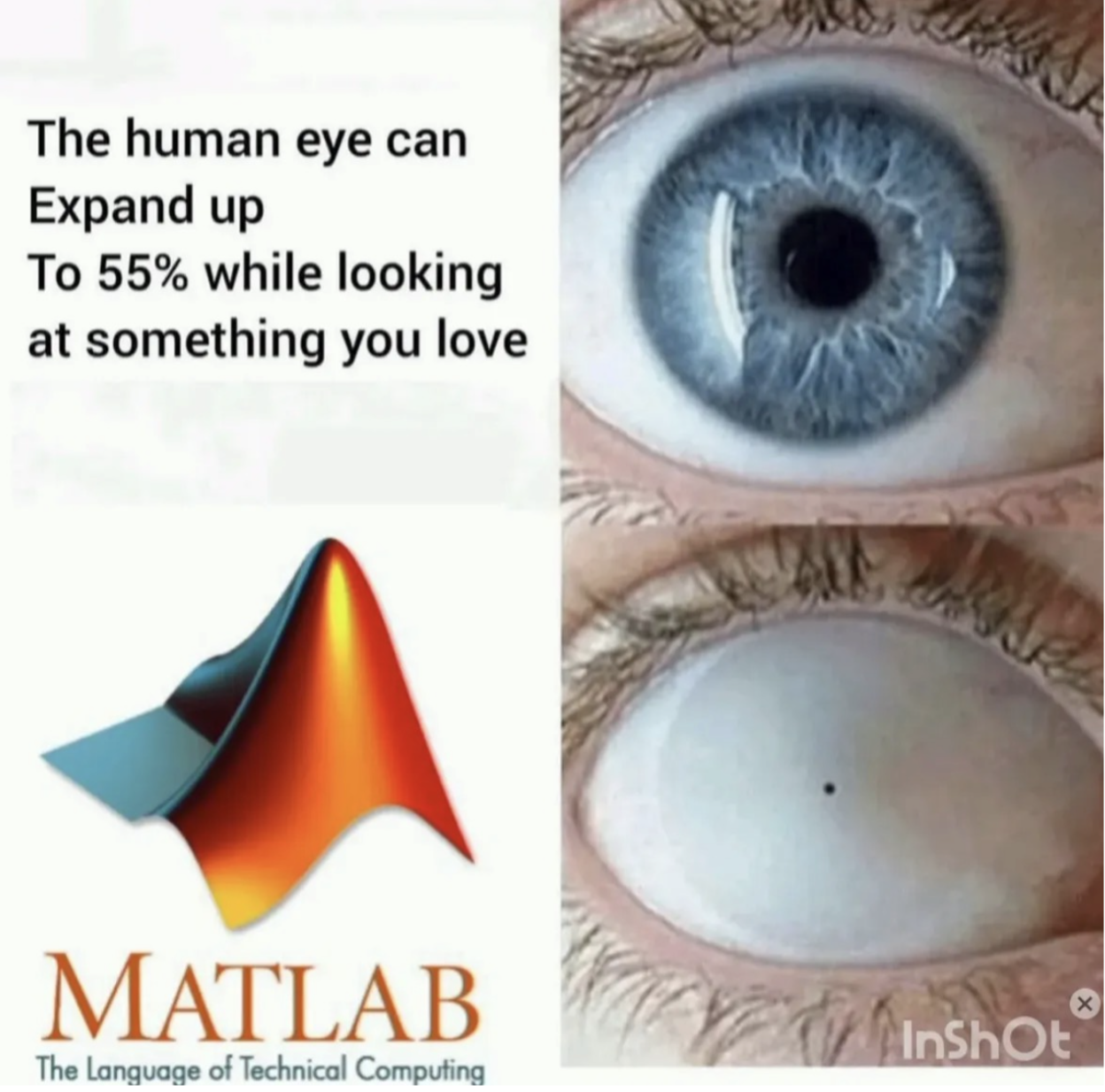 memes3.3.png