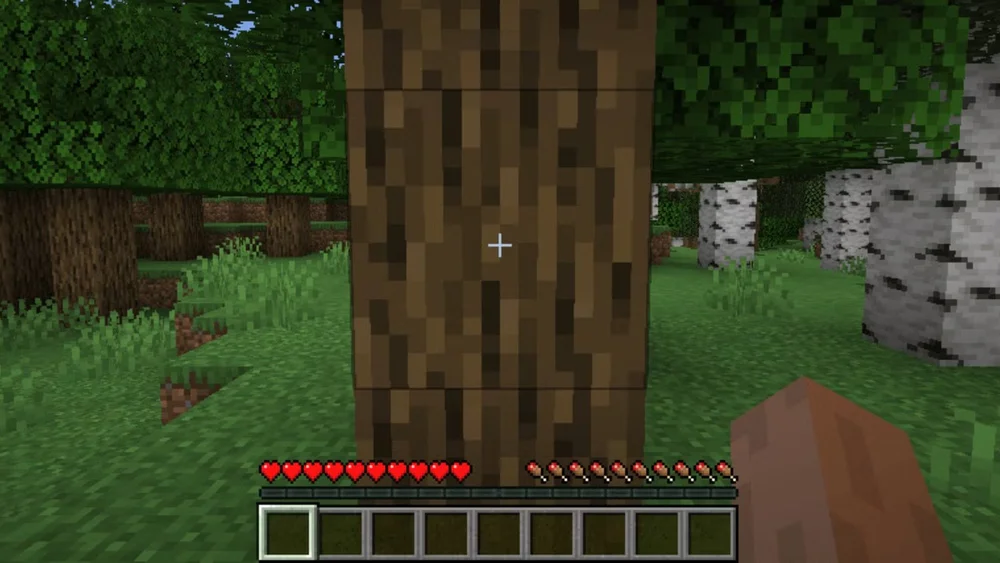 Minecraft Understanding Design Principles Learned From Minecraft — The BYU Design Review