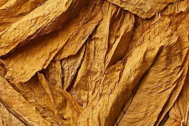tobacco display regulations FDA Halts Packaging Enforcement for 15 Months