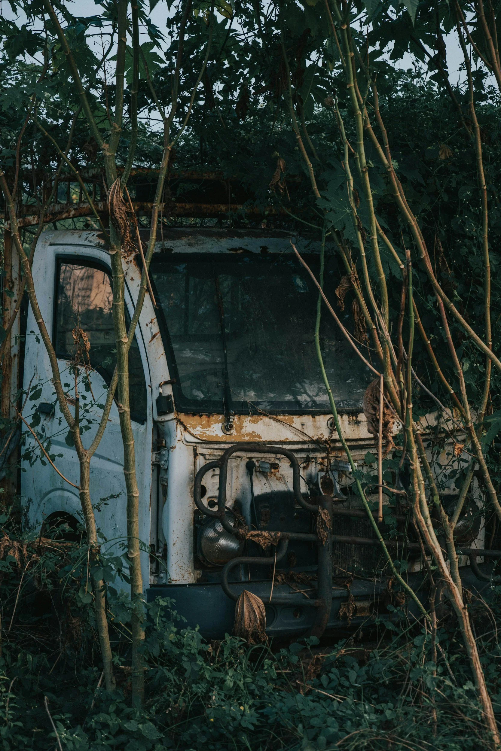 Writing Prompt: The Signal That Knows Your Name