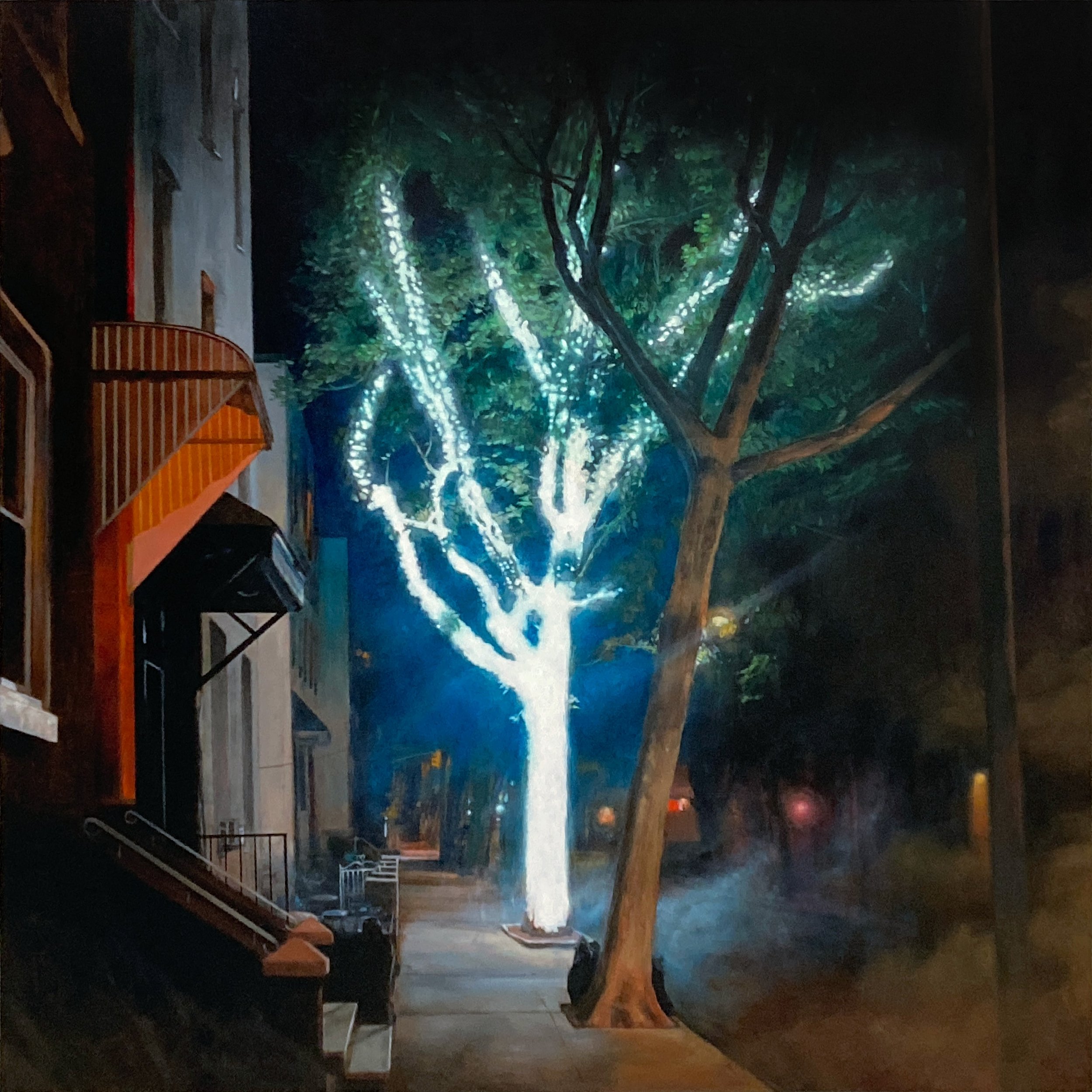 A Tree Glows in Brooklyn (for web).jpg
