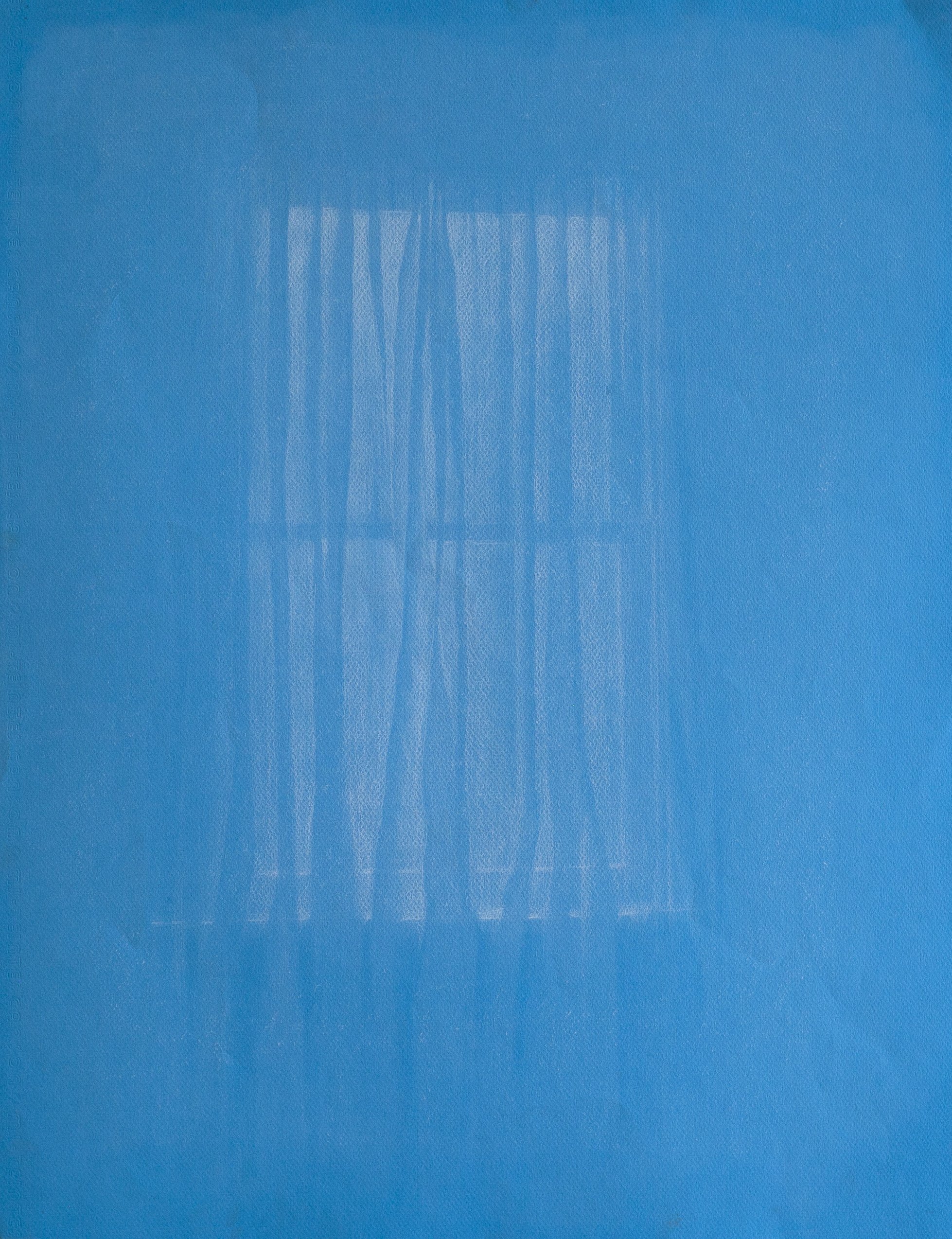Miguel_Curtains_Charcoal on Paper.jpg