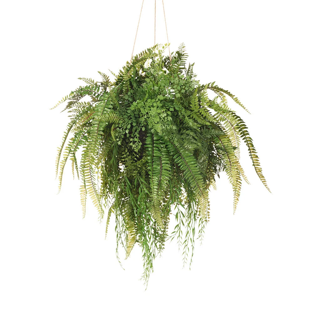 Large Mixed Fern Ball - 80cm diameter