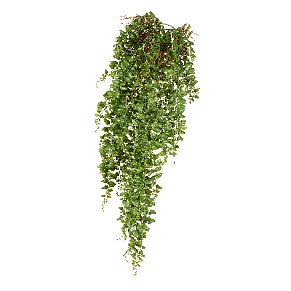 Pond Fern Hanging 81cm