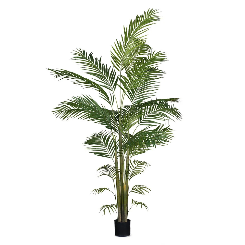 Tall Large Palm 213cm 