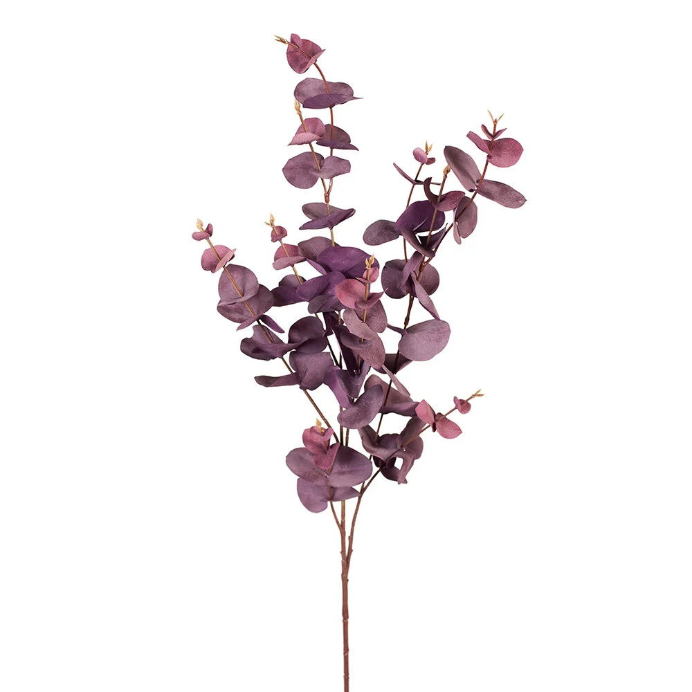 Eucalyptus silver dollar - burgandy 92cm