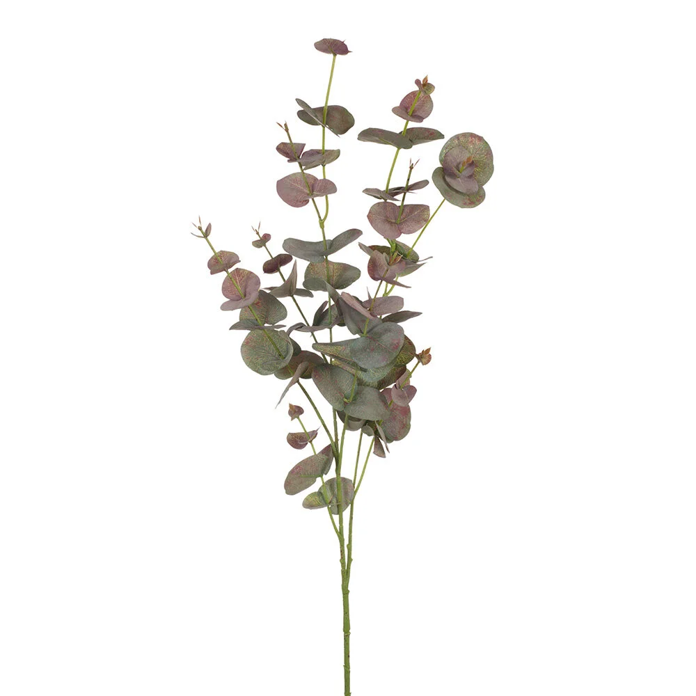 Euclayptus silver dollar - blue/pink