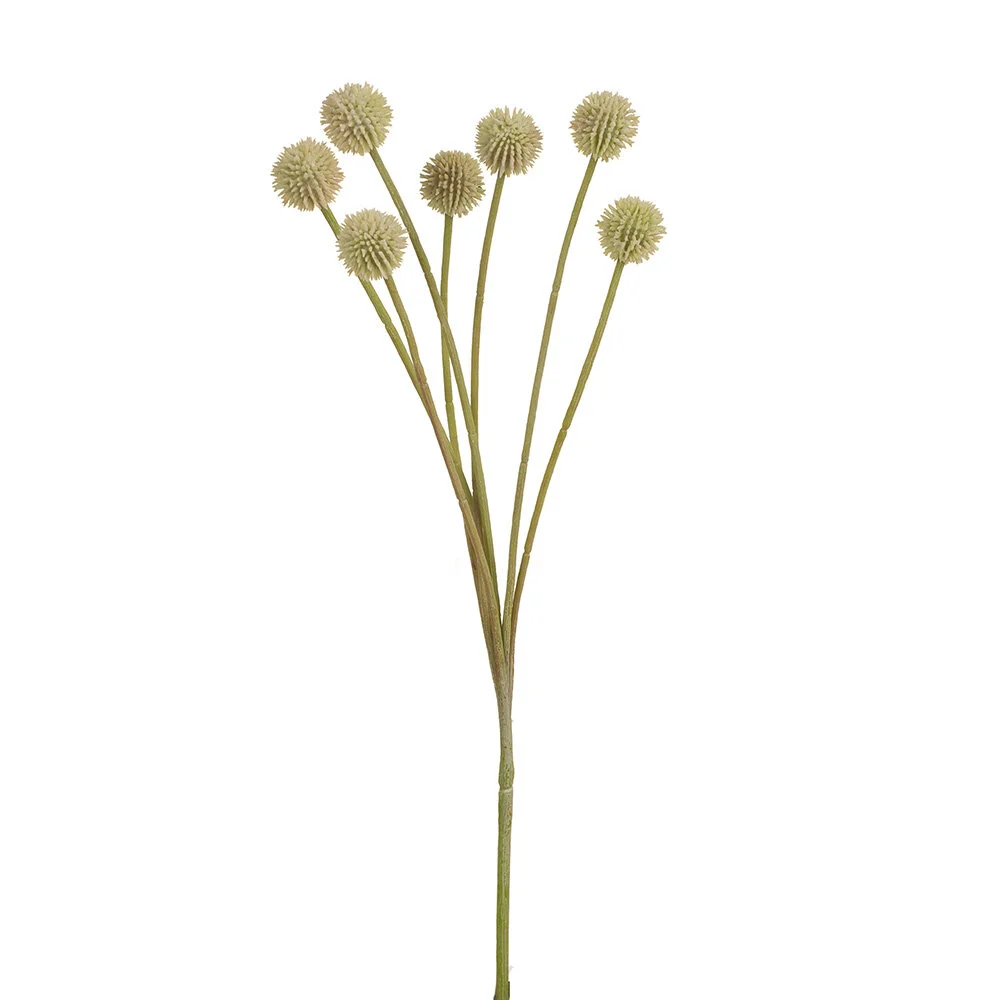 Cream PInk BIlly Button 62cmL