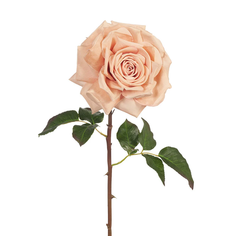 Stella Rose Dusky Pink 51cmL