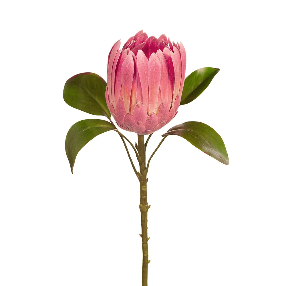 Pink Mauve Protea 67cm