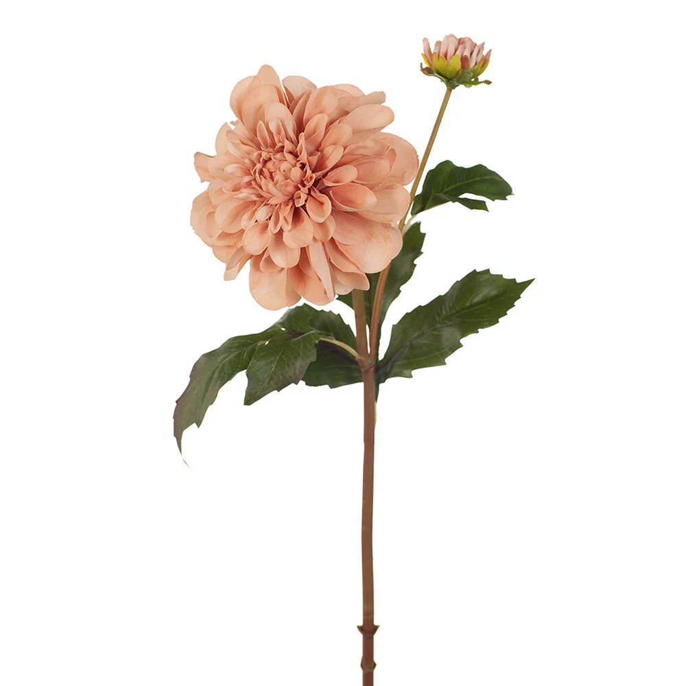 Dusky Pink Dahlia 63cmL