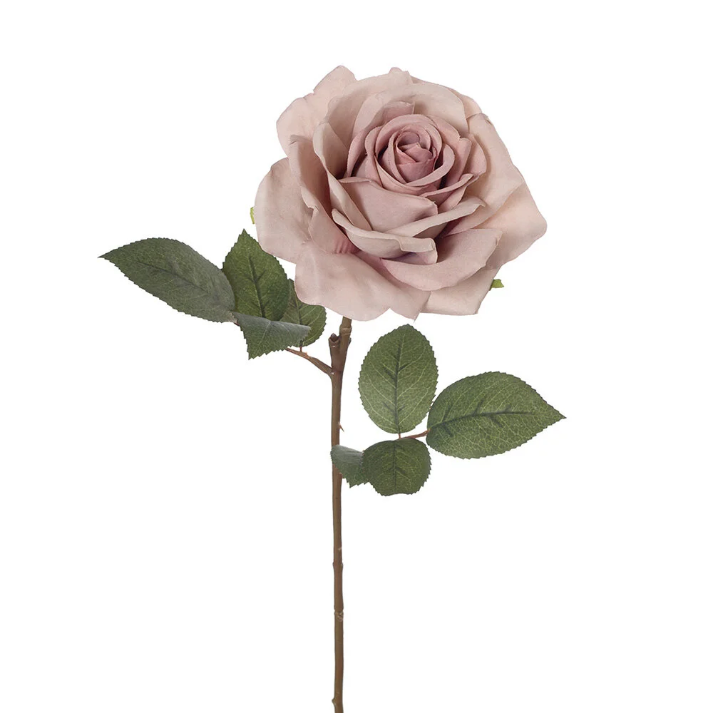 Charlotte Rose Dusty Pink 63cmL