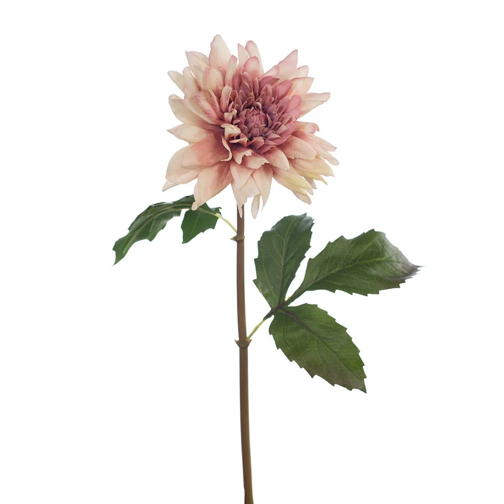 Dahlia Dusty Mauve 50cm