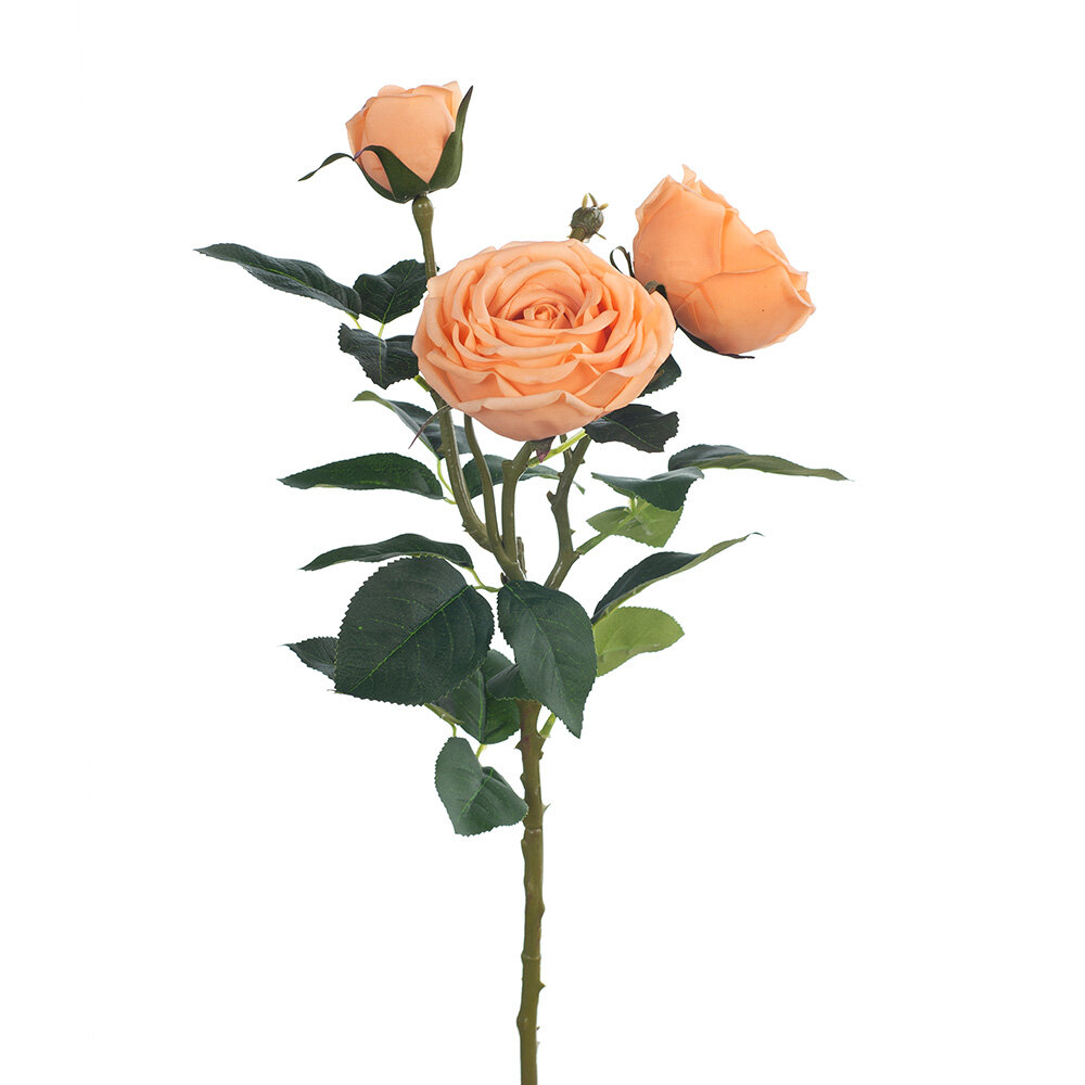 Peach Sarah Rose - 73cm 