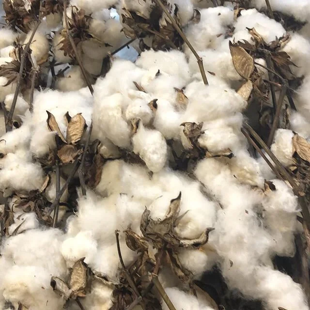 🤍 COTTON - just came in 🤍