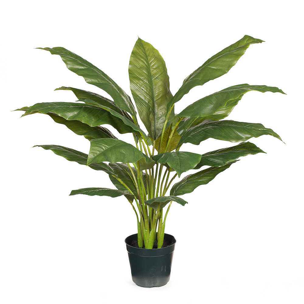 Spathiphlyllum Leaf Plant 86cm