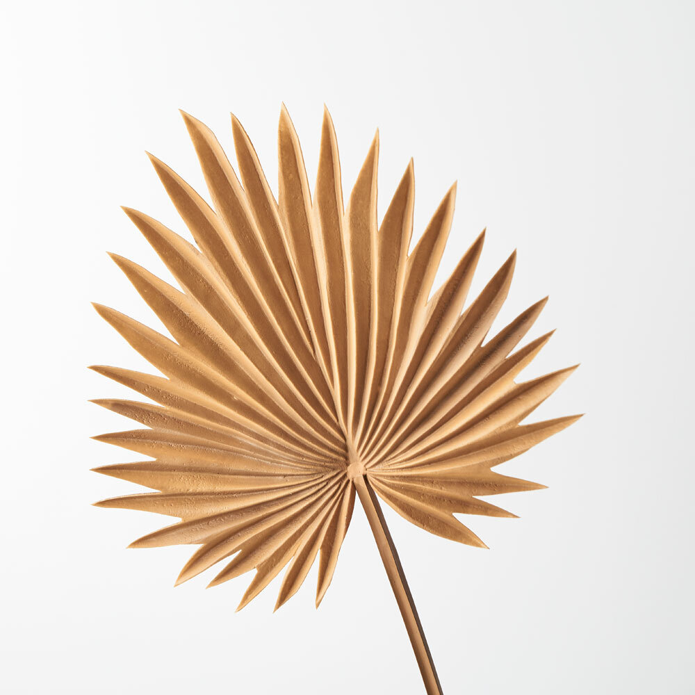 toffee palm 28cm wide