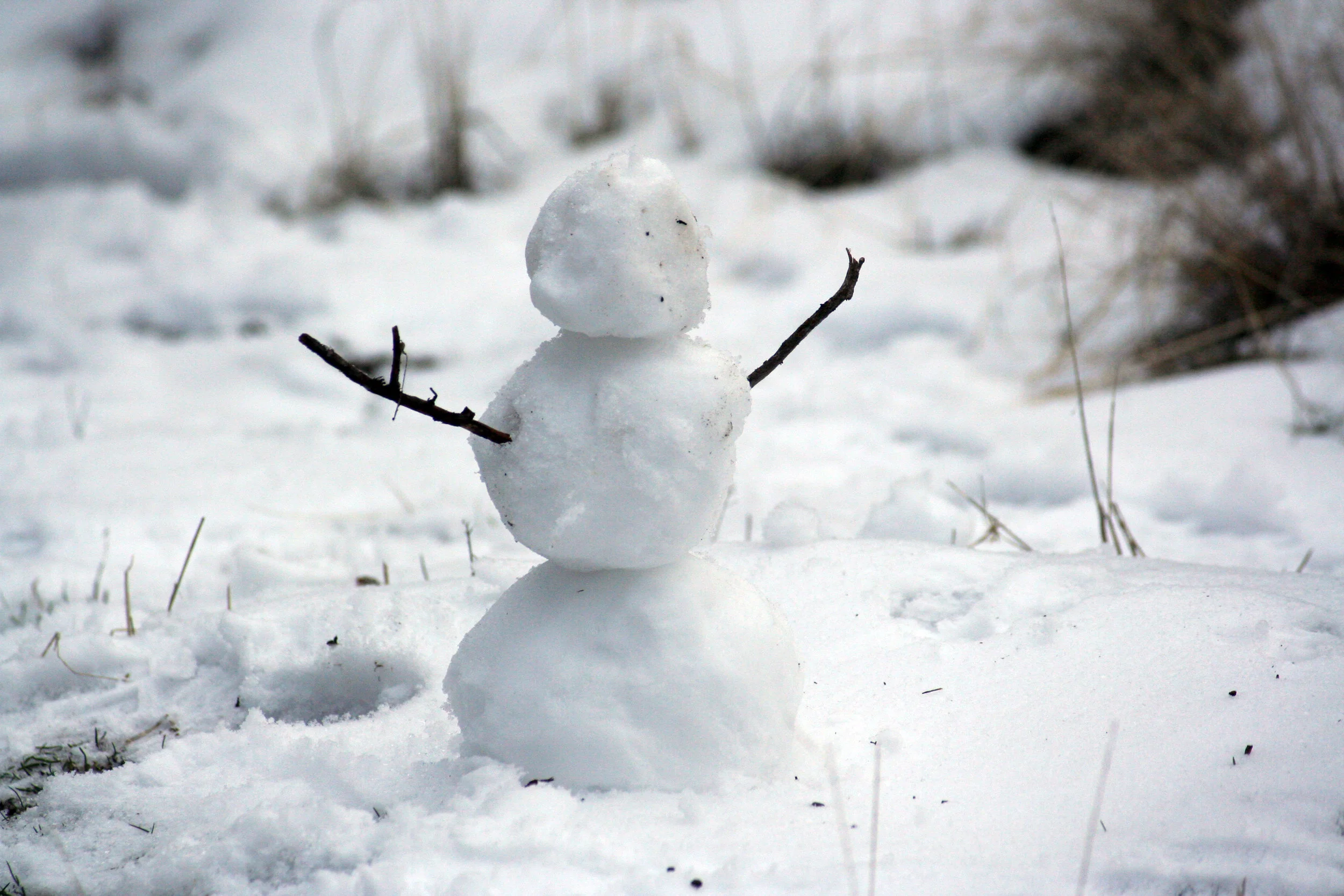 Part I: Building a Snowman