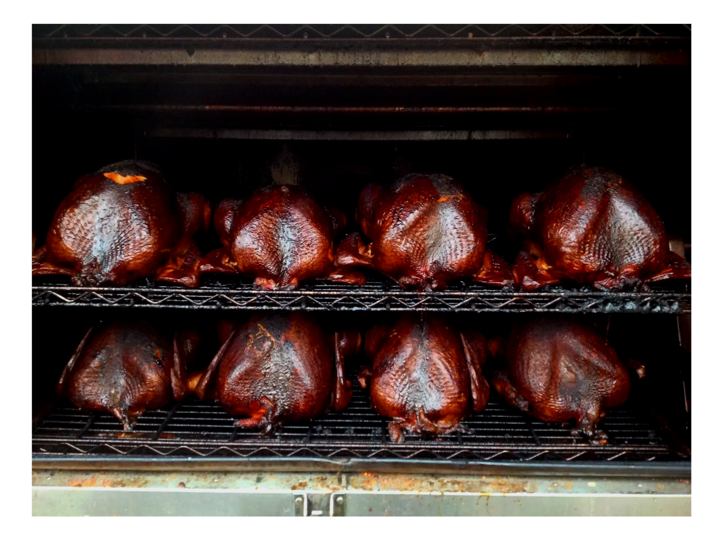 Turkeys on Pit.png