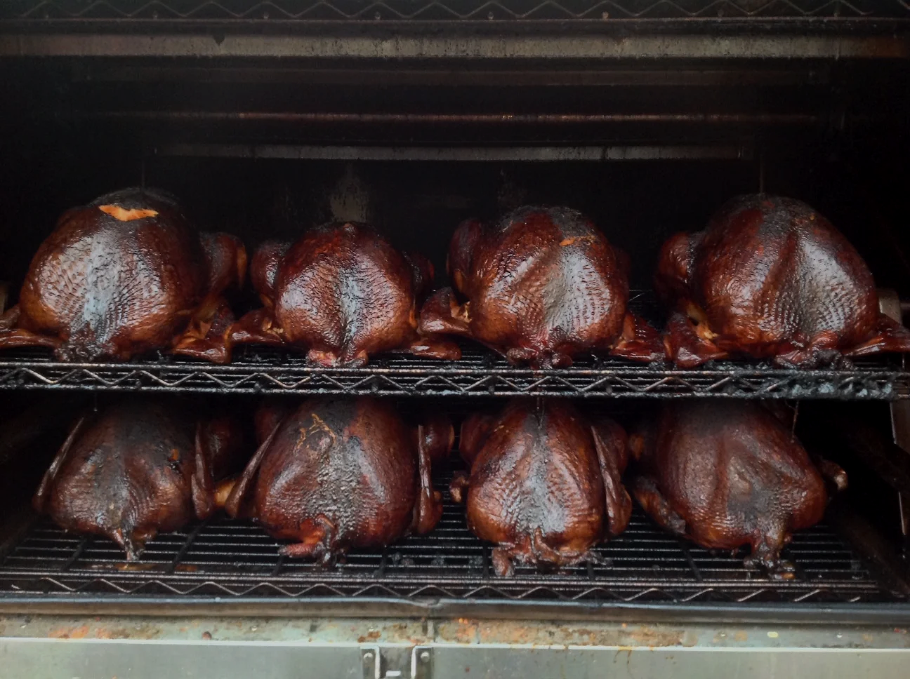 Turkeys on Pit.png
