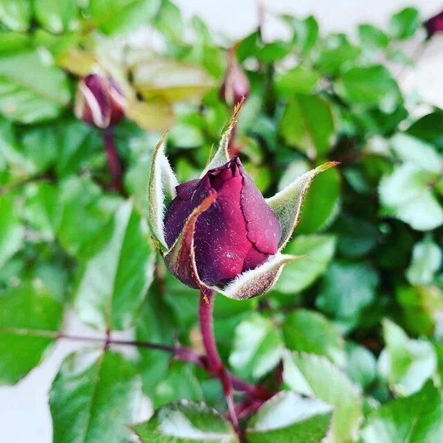 Today would be a great day to turn off your phone (after reading this, of course&nbsp;😊)