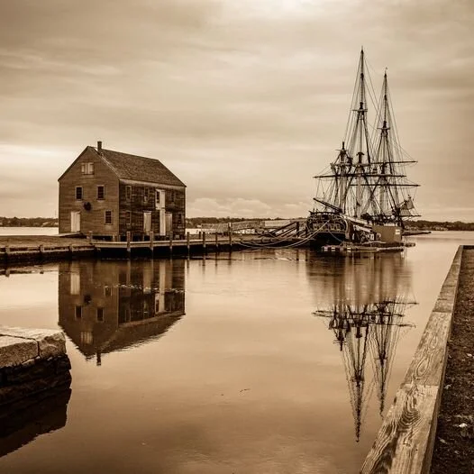 A Look Back to Look Forward