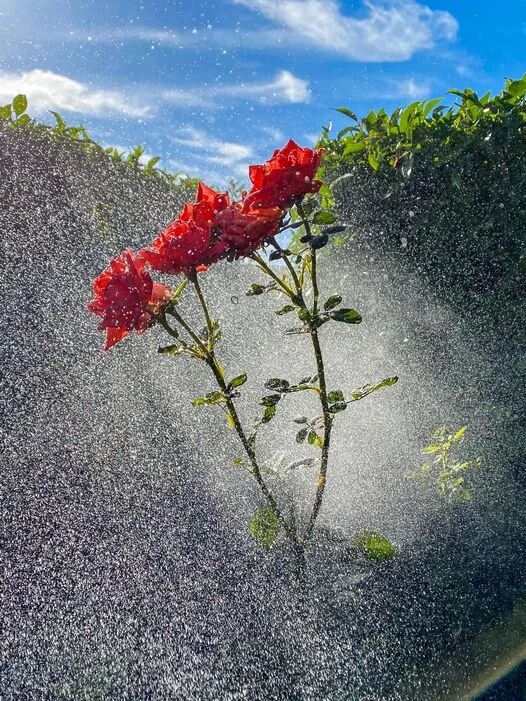 It's All How You Look At It.