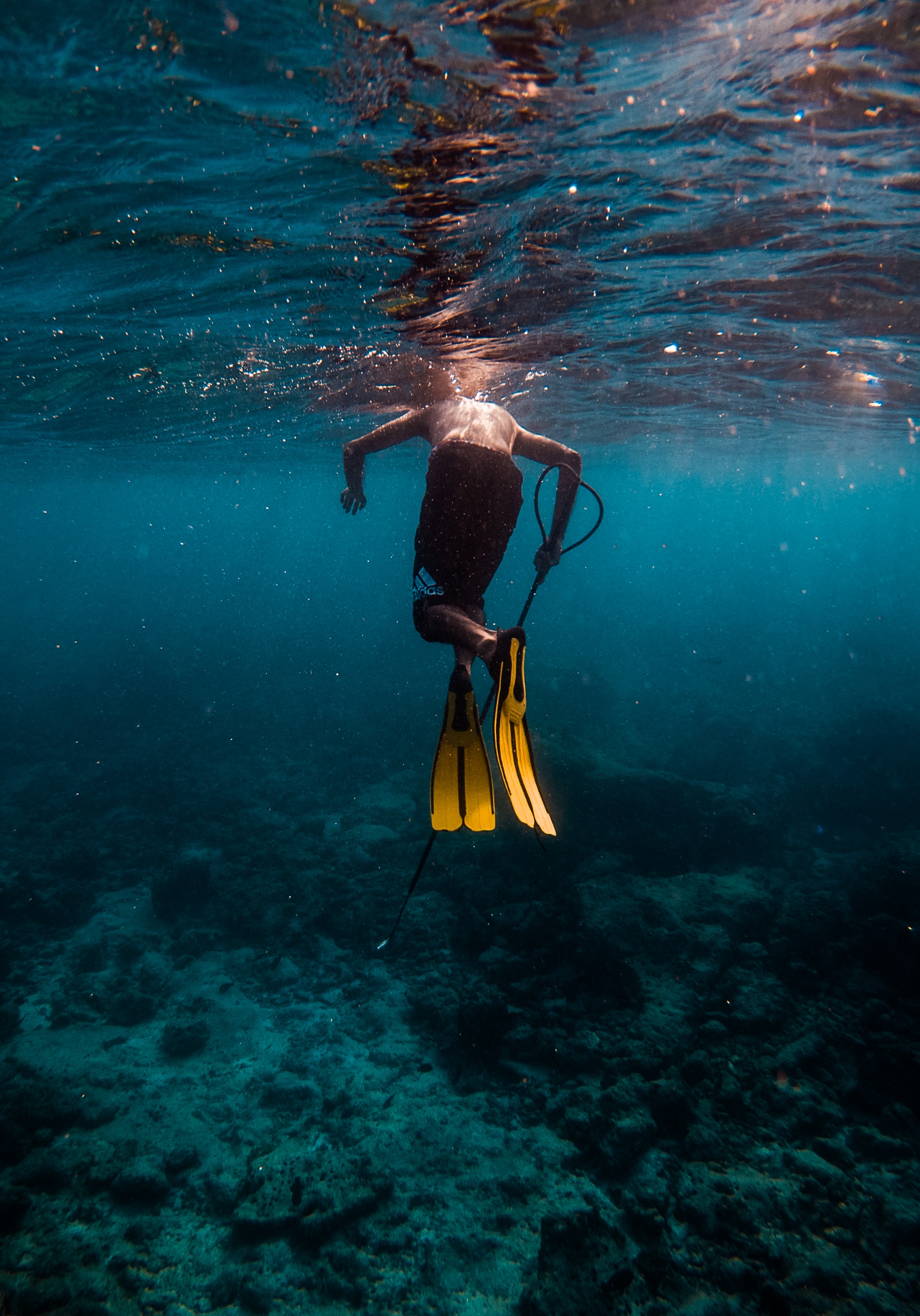 Amazing spearfishing