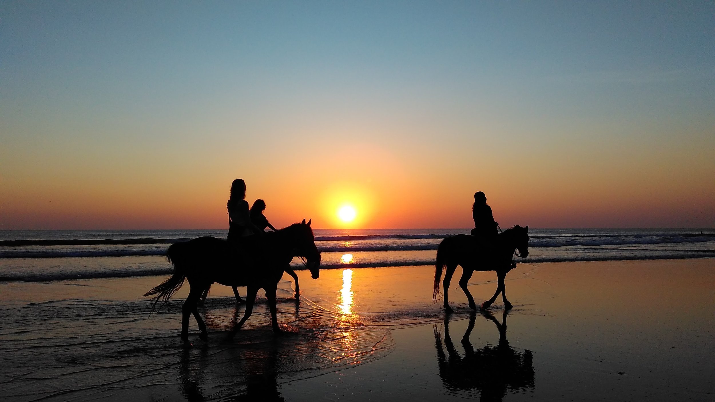 Sunrise horseback tours