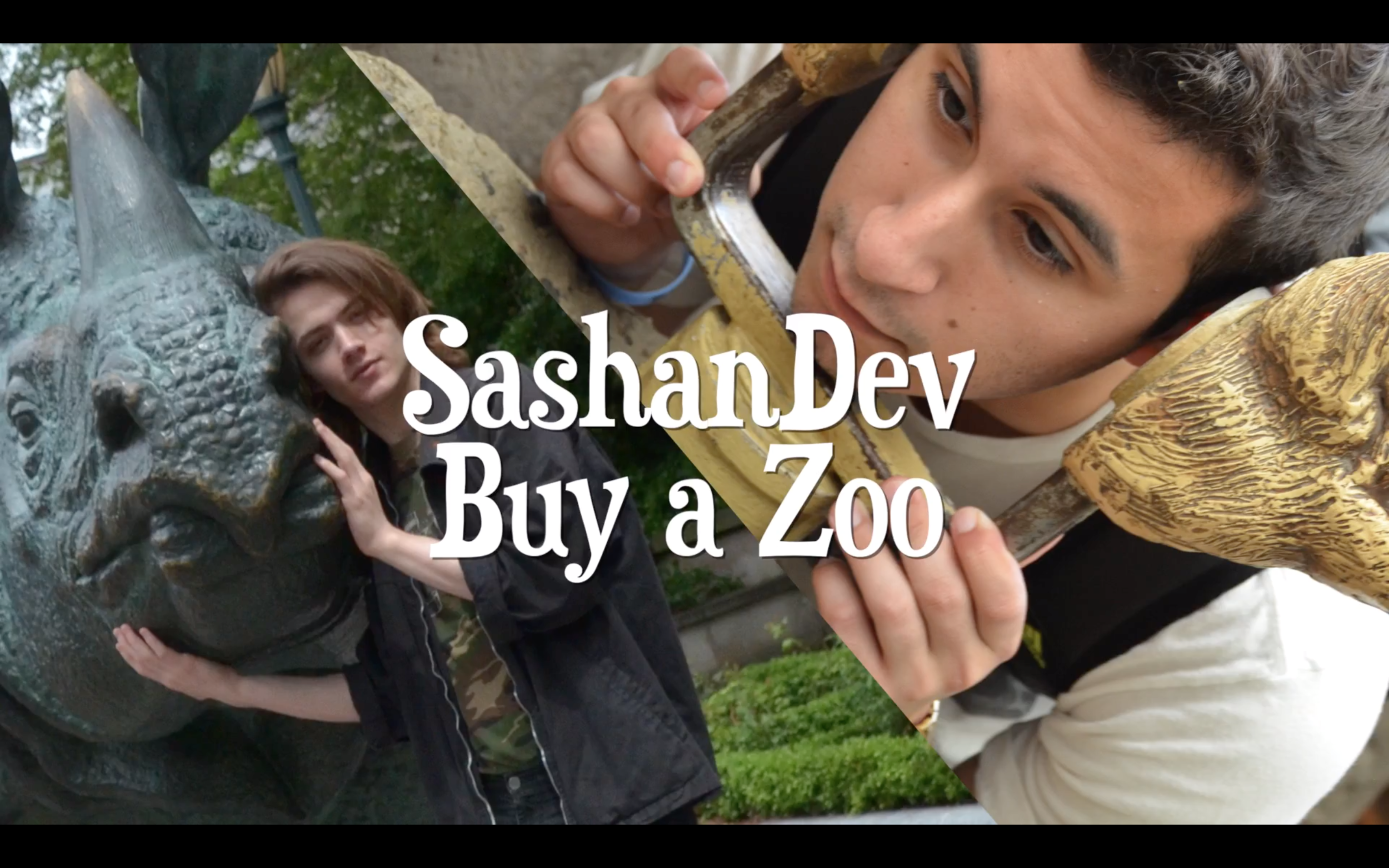 Sashandev Buy a Zoo