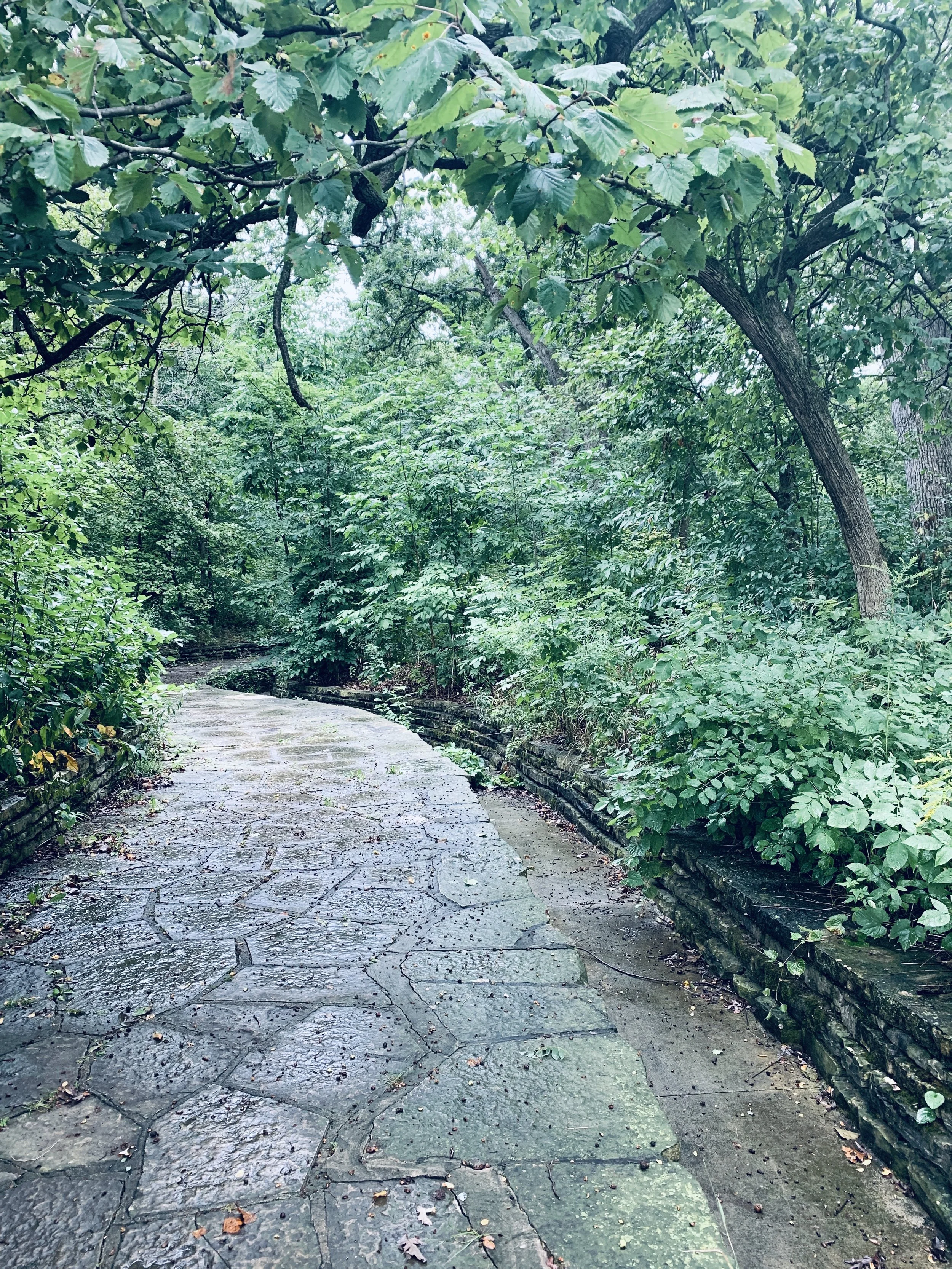 C o m m o n G r o u n d s; Standing Room Only 