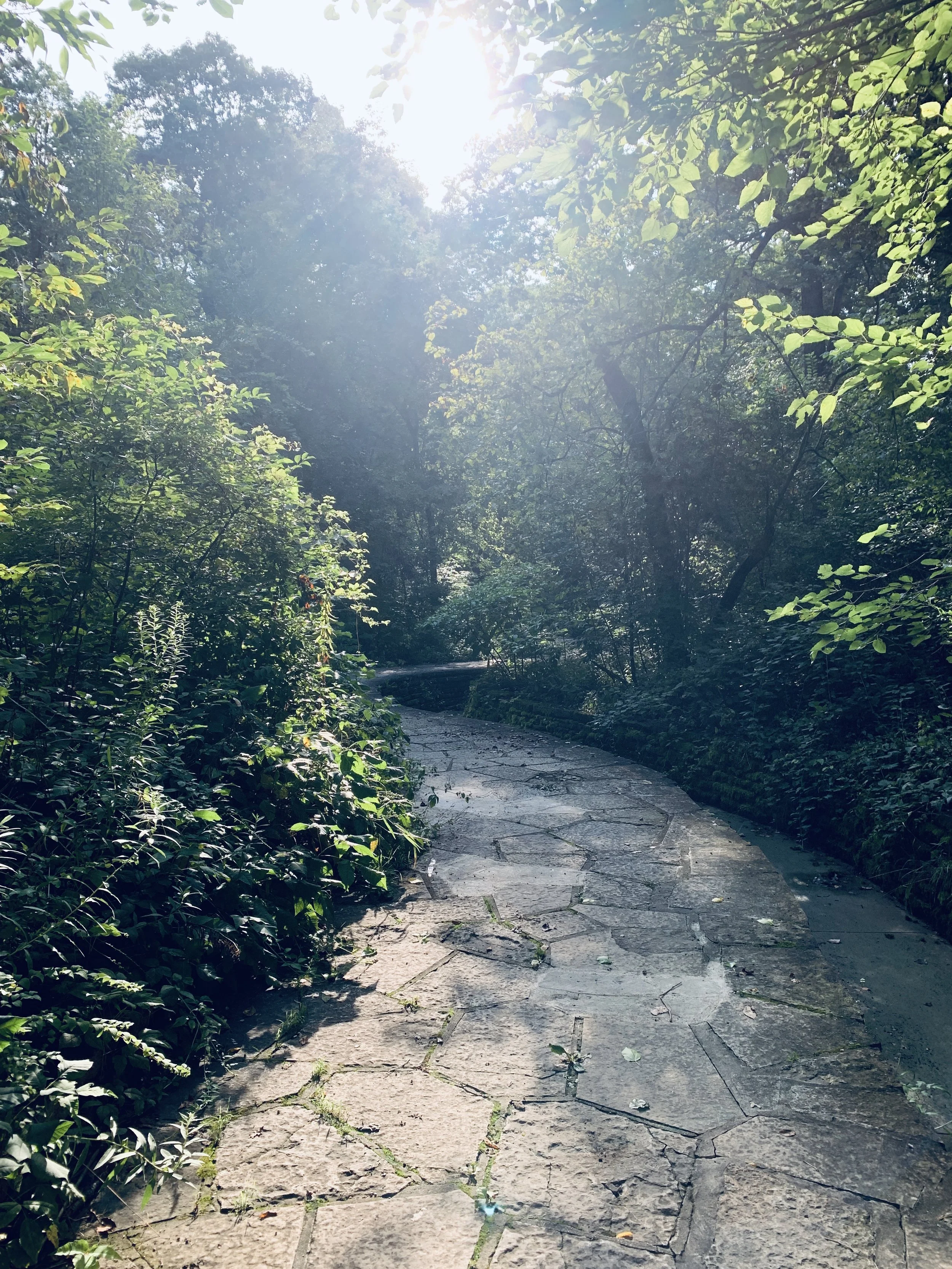 Common Grounds VIP Experience 