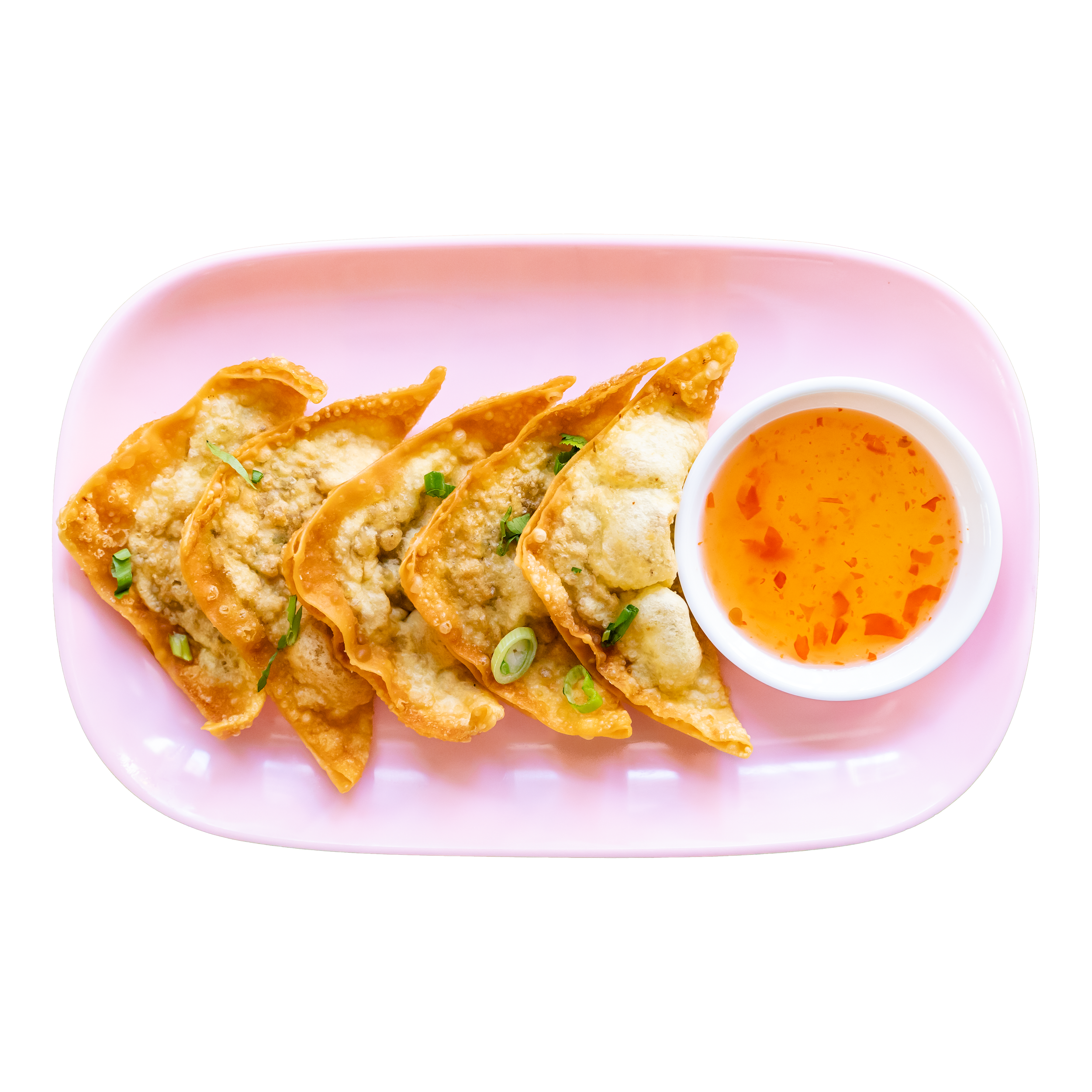 4. FRIED PORK WONTONS