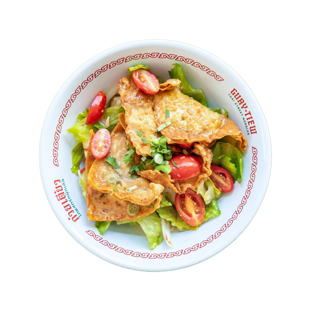 Crispy Wonton Salad