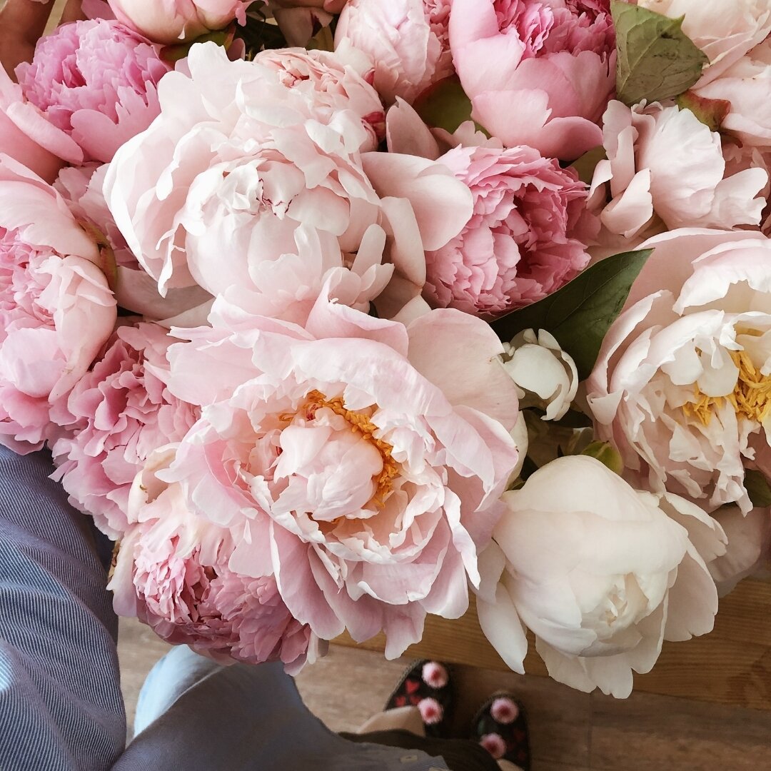 Peonies, with their lush, voluminous petals, are a wedding favorite for a reason! 🌸 But remember, these beauties are only in season for a short while. If you're dreaming of peonies adorning your Mid-May or June wedding, now is the time to plan.

Sta