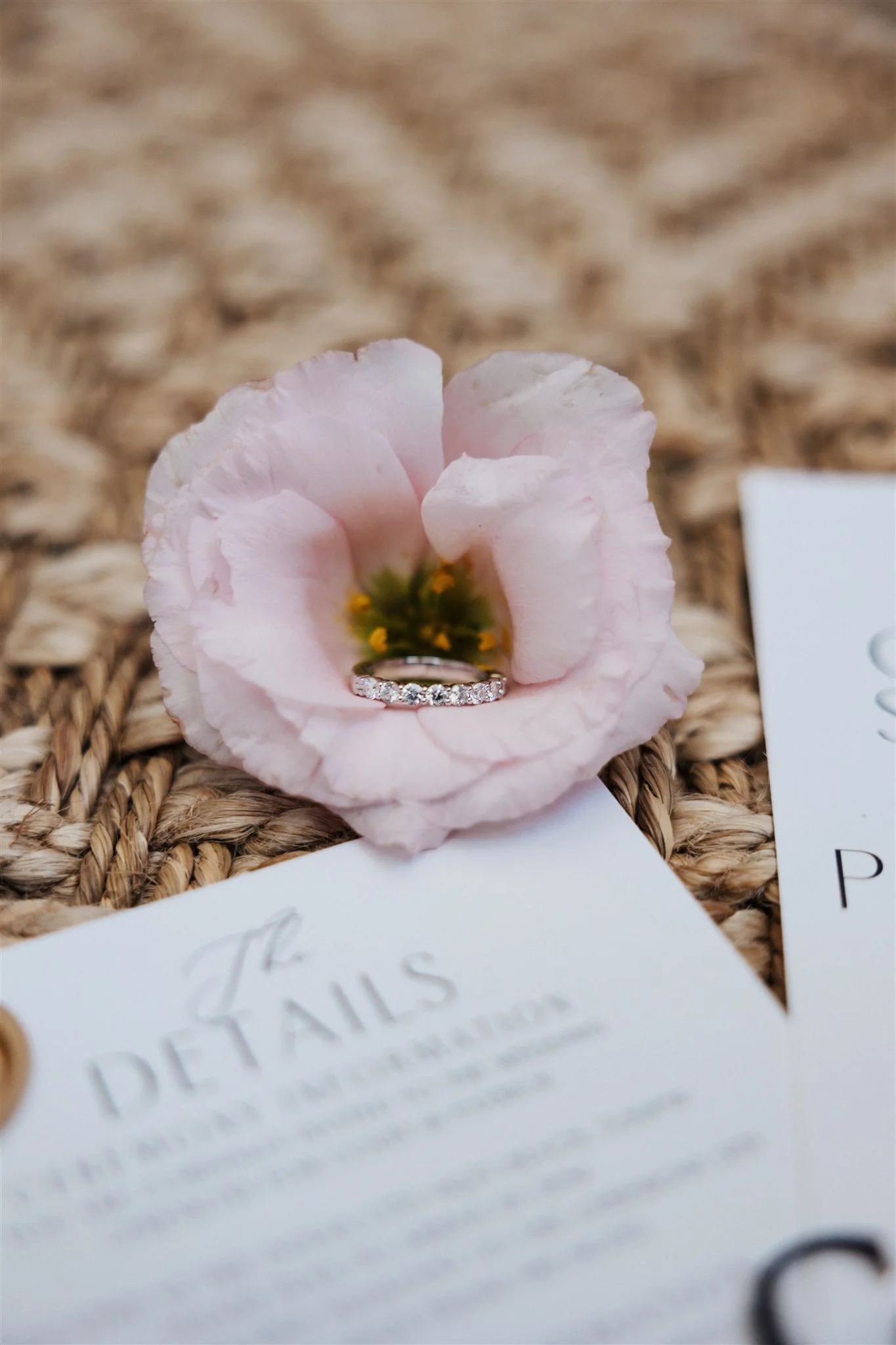 Micky Fins Wedding in Ocean City, Maryland — Alison to the Altar