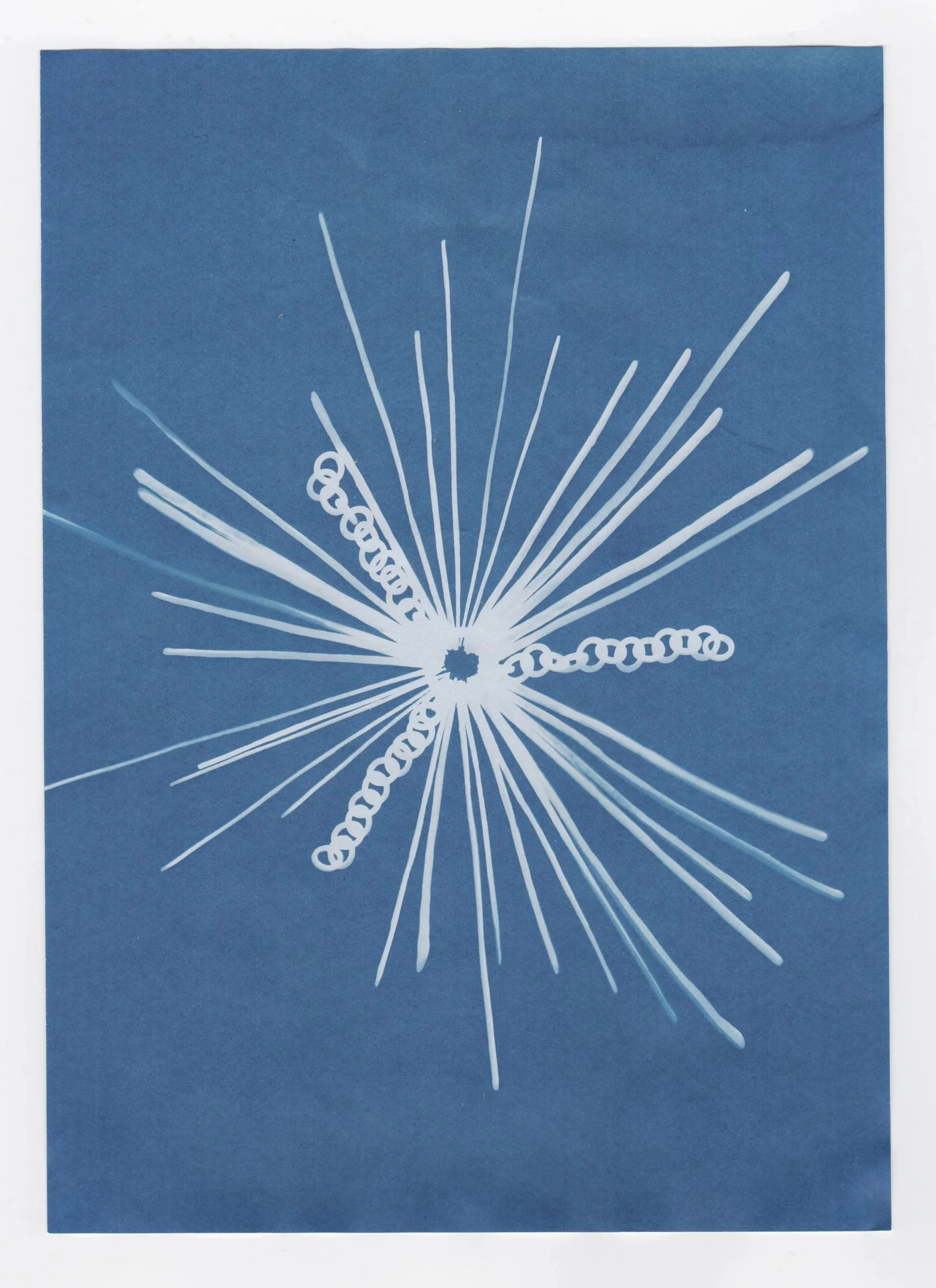 2026+Cyanotype_2.jpg