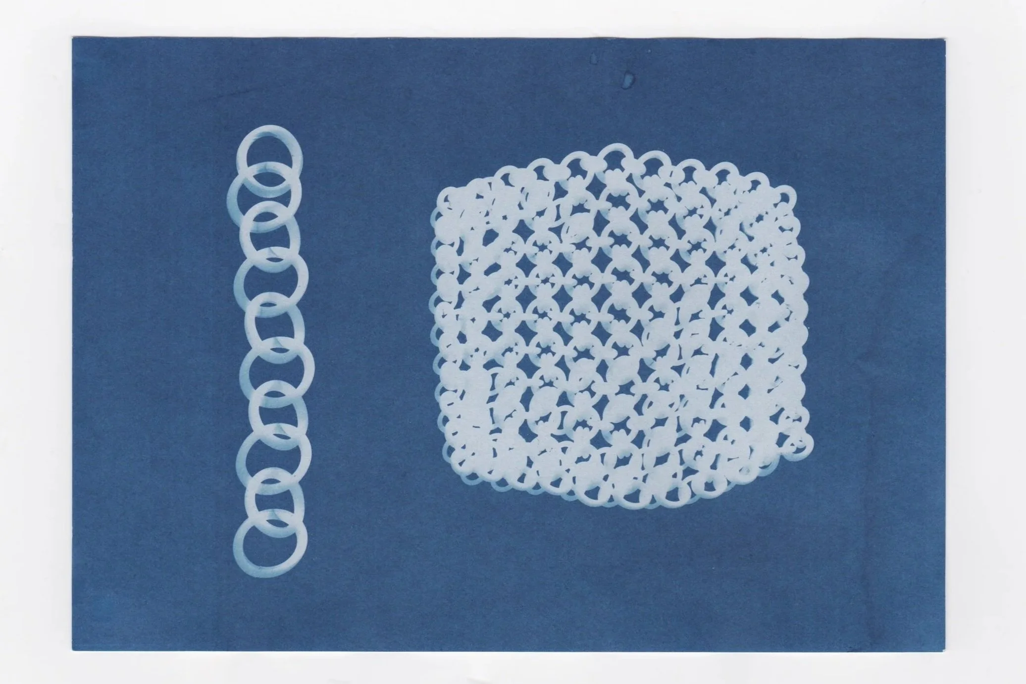2026+Cyanotype_4.jpg