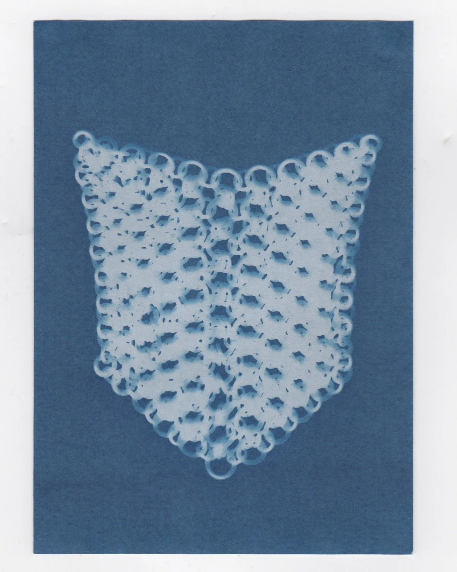 2026+Cyanotype_6.jpg