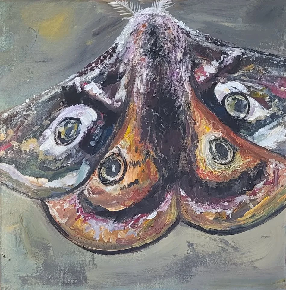 moth.jpg