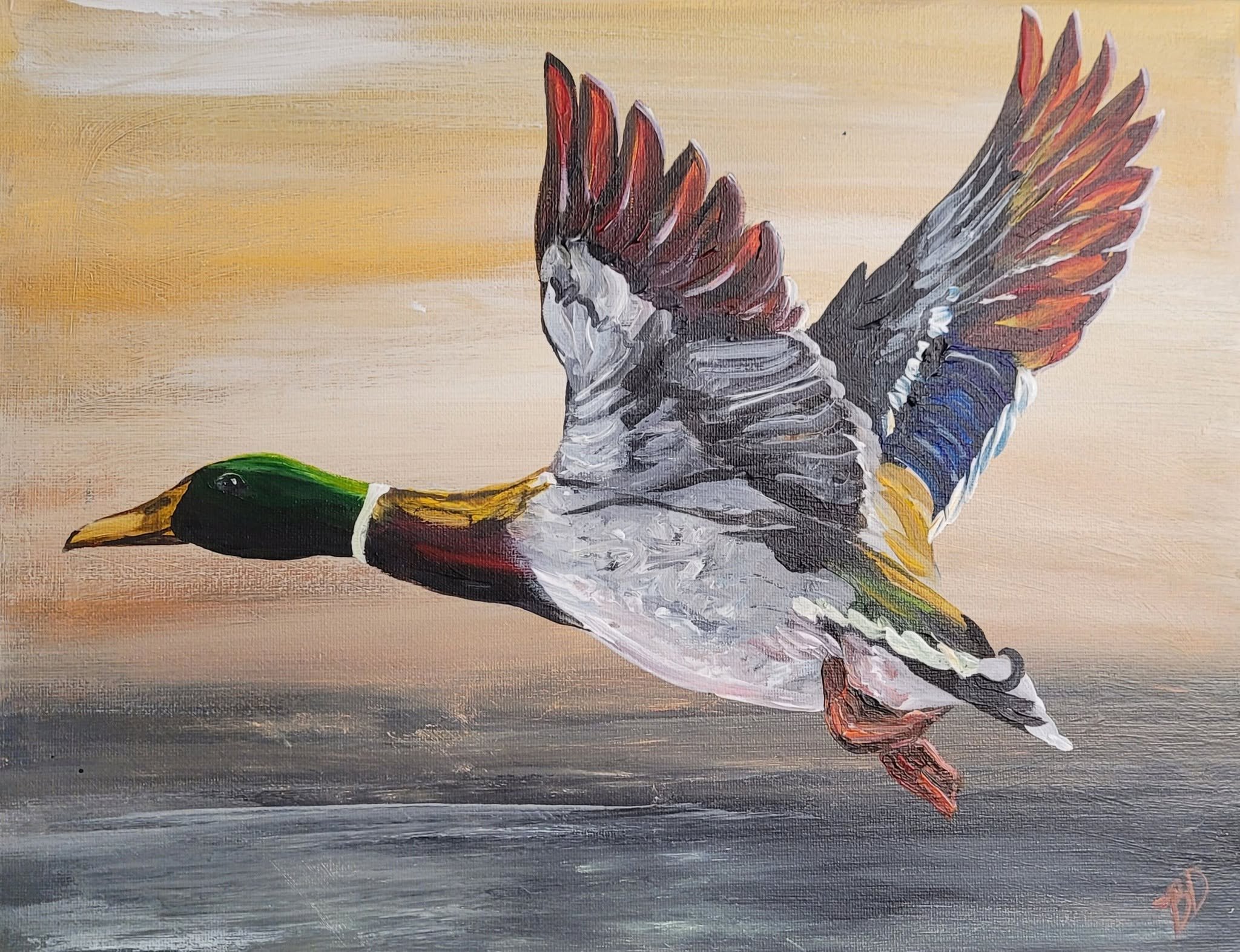 mallard.jpg